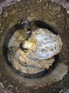 施工事例:T様1_コピー