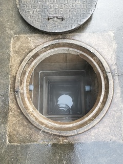 IMG20241121083310_コピー