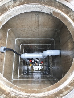 IMG20241121111059_コピー