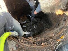 1736916818701-3_コピー