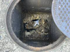 1736916818701-9_コピー