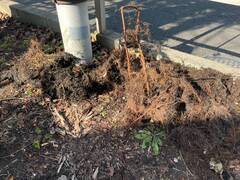 1736916818701-6_コピー