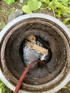 1746091863130-2_コピー