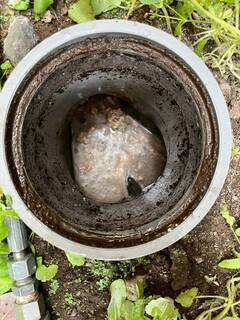 1746091863130-4_コピー