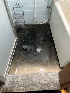 1750806333911_コピー