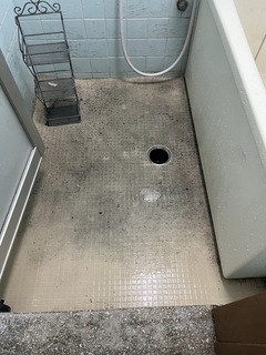1750806335007_コピー