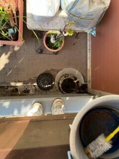 thumbnail_1756086321405-0_コピー