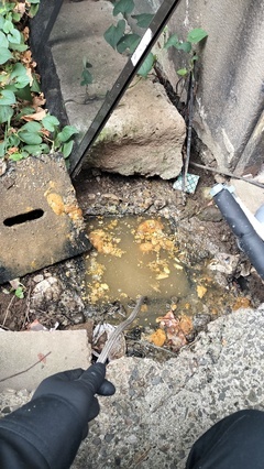 IMG20250928074406_コピー