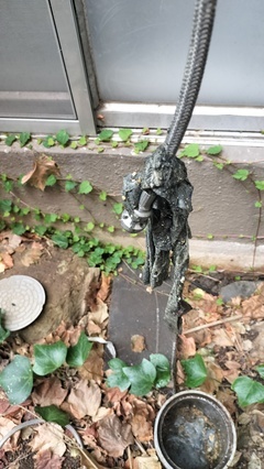 IMG20250928075102_コピー