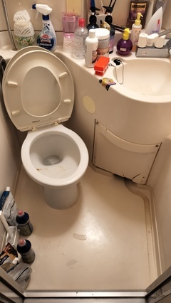 IMG20251002081203_コピー