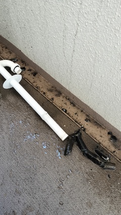 IMG20251222090426_コピー