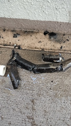 IMG20251222090431_コピー