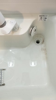 IMG20251222084441_コピー