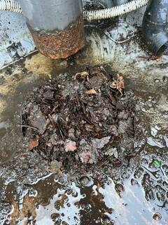 1750302693862-4_コピー