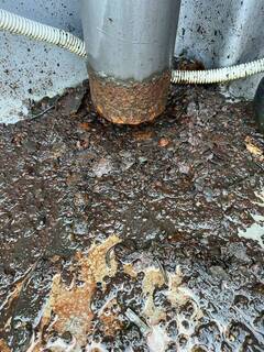 1750302693862-3_コピー