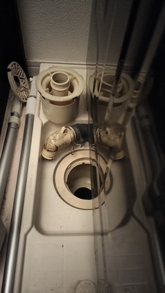 IMG20260305085820_コピー