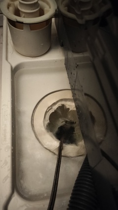 IMG20260305092041_コピー