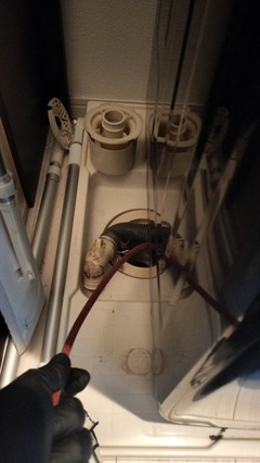 IMG20260305090401_コピー