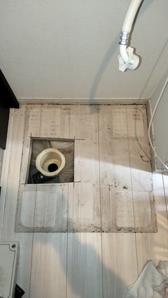 IMG20260305094324_コピー