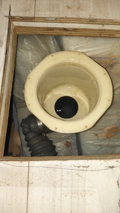 IMG20260305094232_コピー